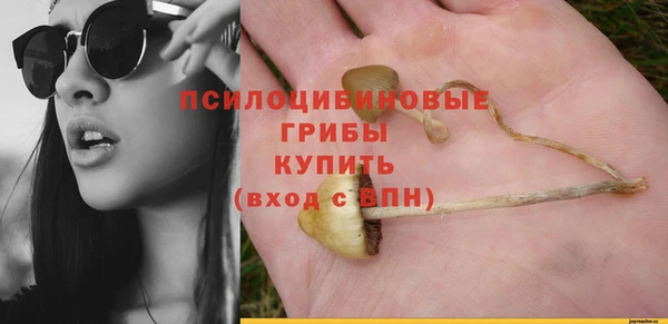 сатива Балабаново