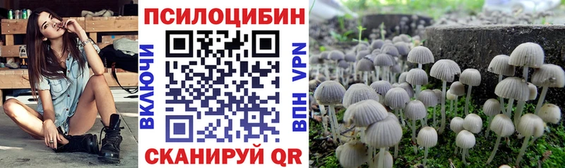 как найти наркотики  Городище  Галлюциногенные грибы Magic Shrooms 