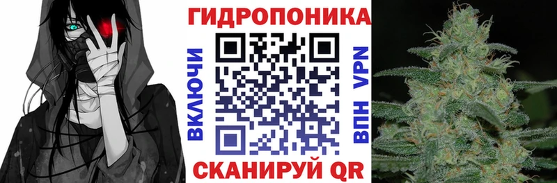 купить наркотик  Городище  Бошки марихуана конопля 